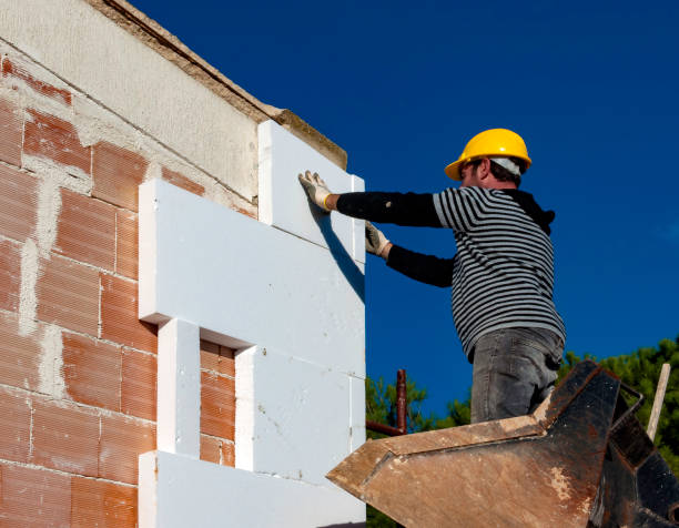 Best Spray Foam Insulation  in Monticello, IL